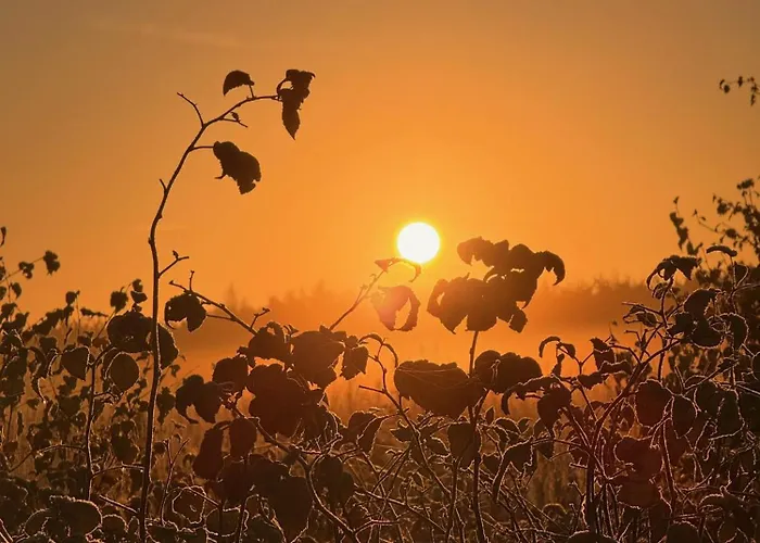 度假居 Haus Gipfelstuermer Harz *